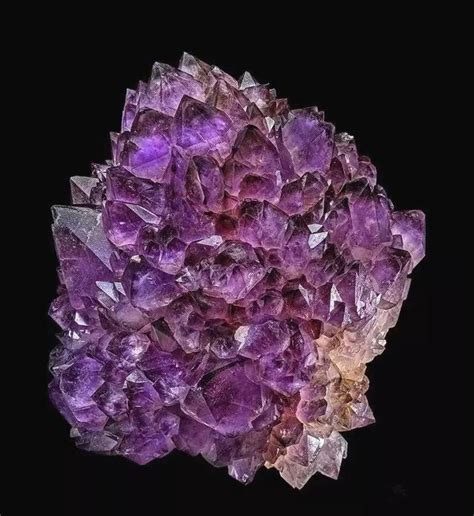 紫水晶屬